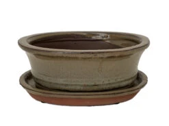 Ceramic Bonsai Pot/Saucer - Mustard Oval - 6 1/8" X 4 1/2" X 2" With Felt Feet