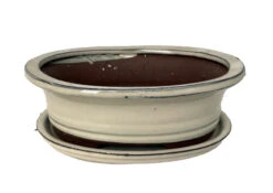 Ceramic Bonsai Pot With Saucer - Beige Oval - 8" X 6.25" X 3"