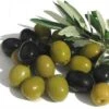 Arbequina Large Olive Tree - Tree Of Peace - Olea - 6" Pot