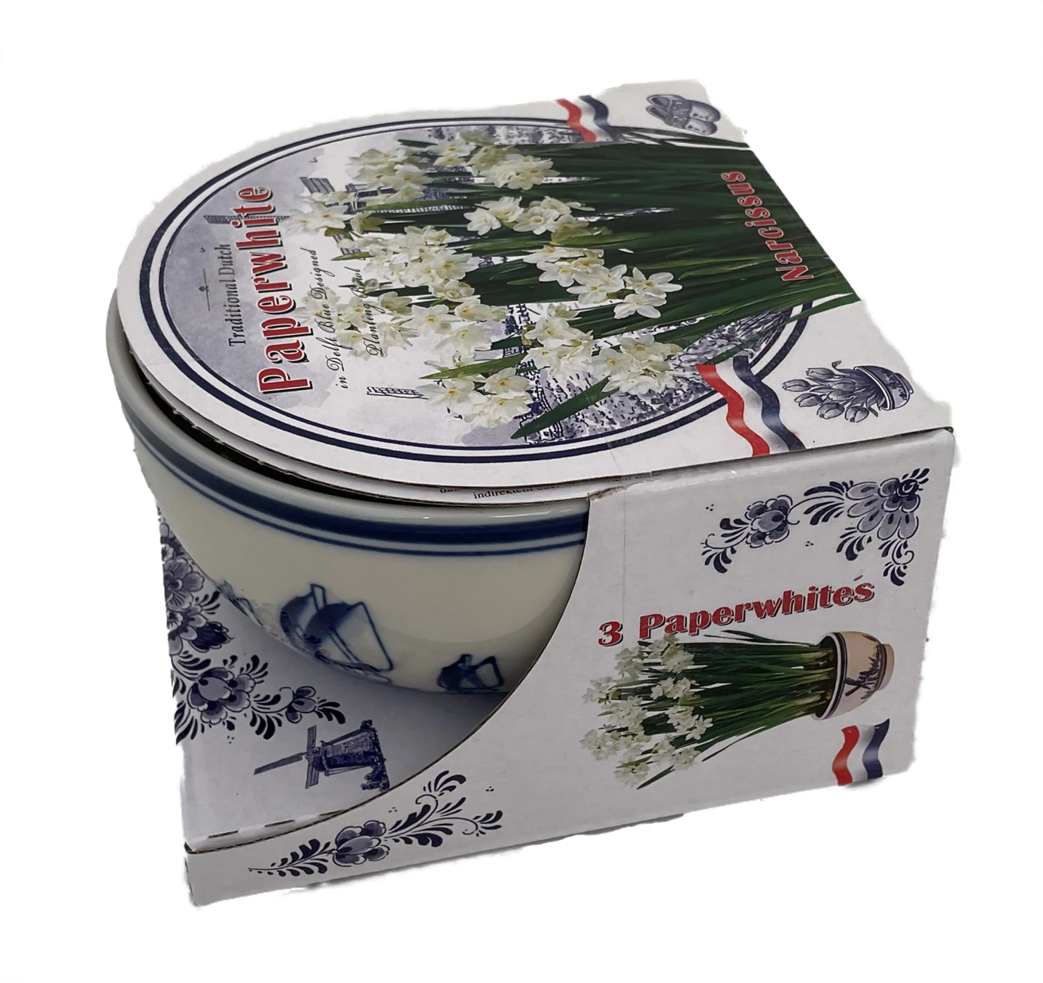 Delft Ceramic Bowl With Paperwhite Narcissus Bulbs Indoor Growing Kit - FragrantT - Image 6