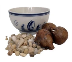 Delft Ceramic Bowl With Paperwhite Narcissus Bulbs Indoor Growing Kit - FragrantT