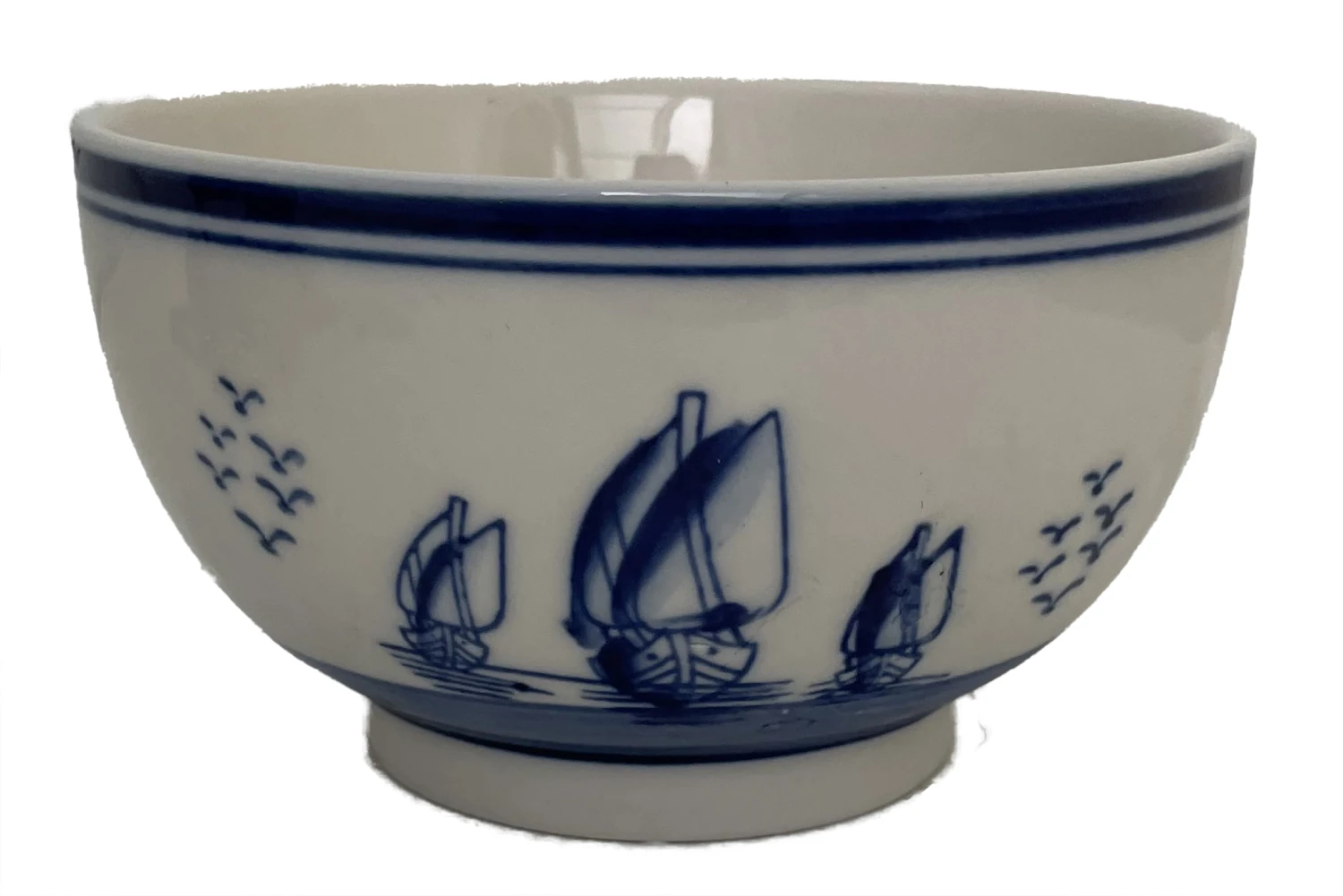 Delft Ceramic Bowl With Paperwhite Narcissus Bulbs Indoor Growing Kit - FragrantT - Image 8