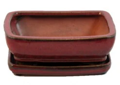 Ceramic Bonsai Pot/Attached Saucer - Parisian Red - 8" X 6.25" X 3" + Felt Feet