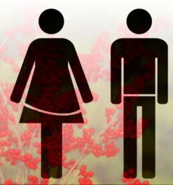 Berry Poppins™ & Mr. Poppins™ Winterberry Holly - Male/Female