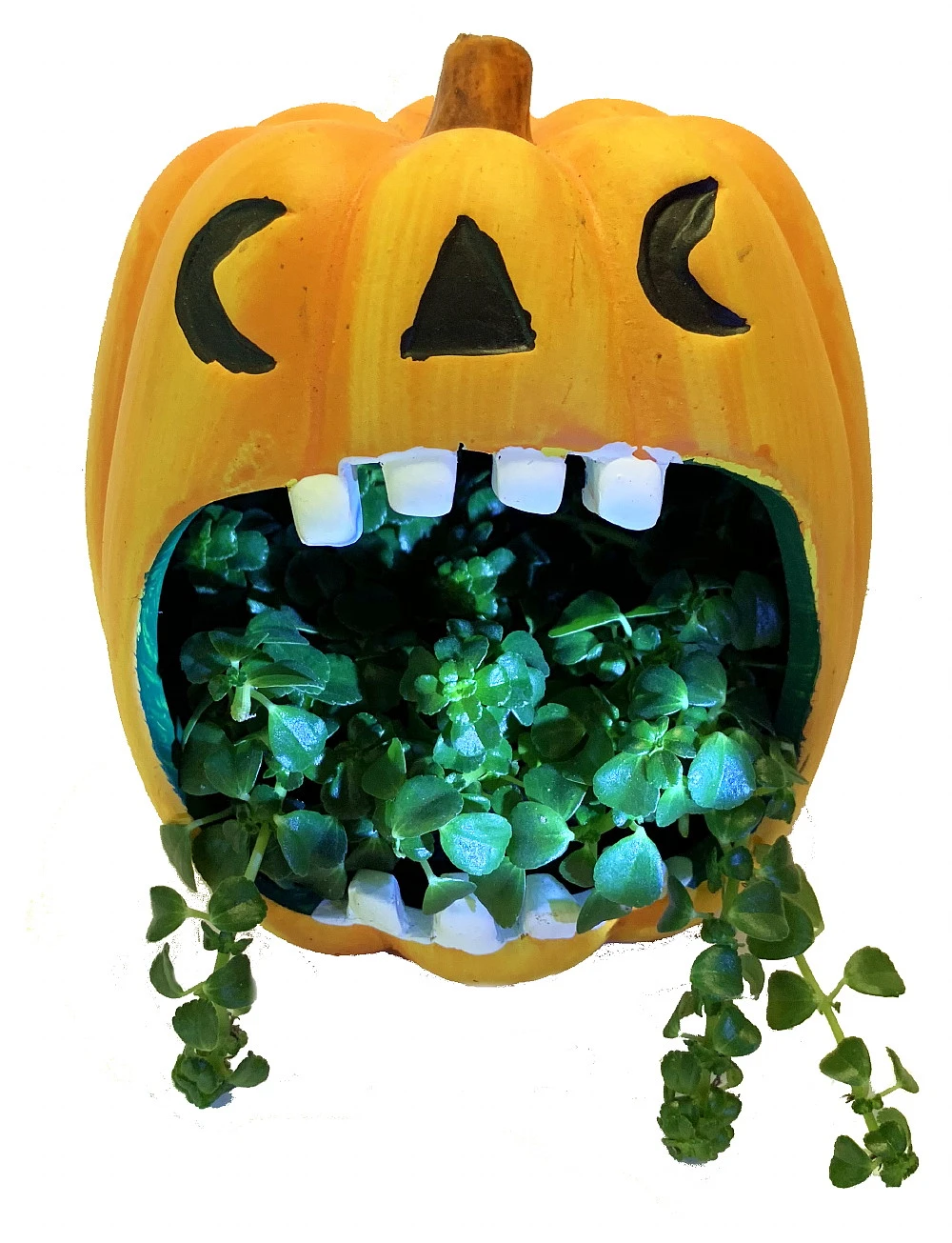 Orange Pumpkin Howler Halloween Indoor Garden Planter-5" Ceramic Vase/Live Plant