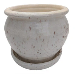 Speckle Planter With Attached Saucer - Cream - 6" X 5 1/2"