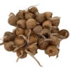 Saffron Crocus 25 Bulbs + Saffron Bulb Food - Crocus Sativus -Immediate Shipping
