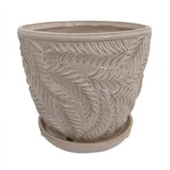 Beach Fern Ceramic Pot With Attached Saucer - Moonstone - 5" X 4.75"