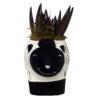Baa Baa Black Sheep Planter With Black Knight Succulent Plant- 3" X 6.5" X 3.25"