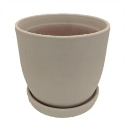 Chatham Egg Pot With Attached Saucer - Sandy Matte White - 5.5" X 5"