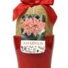 Dancing Queen Double Amaryllis In Red Ceramic Planter With Bow & Gift Tag