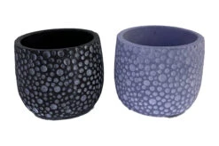 Double Bubbles Caprise Cement Planters - 4.25" X 4" - Two Pack- 1 Black And 1 Blue