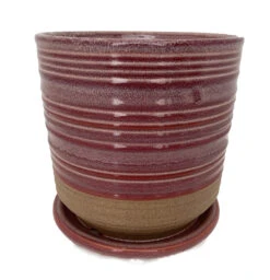 Ellora Ceramic Planter With Attached Saucer - Cherry - 4.5" X 4.25"