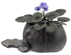 Creative Lotus Leaf Ceramic Planter With Live Miniature African Violet