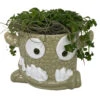 Monster Mash Halloween Ceramic Planter & Live House Plant - 3.5" Pot - Green
