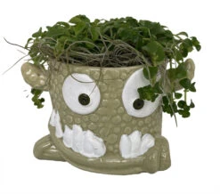 Monster Mash Halloween Ceramic Planter & Live House Plant - 3.5" Pot - Green