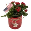 Glory Red Mason Jar Ceramic Planter With Live Kalanchoe And Fern Plants