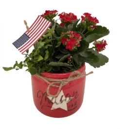 Glory Red Mason Jar Ceramic Planter With Live Kalanchoe And Fern Plants