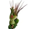 Yoga Frog Good Morning Hands Raised -Live Tillandsia Air Plant +Planter- 3" X 3"